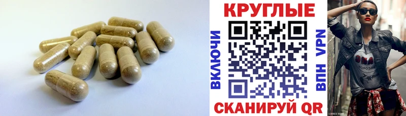 KRAKEN зеркало  закладки  Нефтегорск  darknet формула  ЭКСТАЗИ Дубай 
