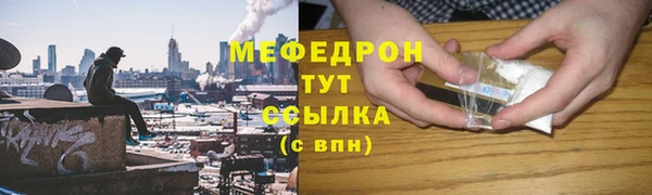 индика Дмитровск