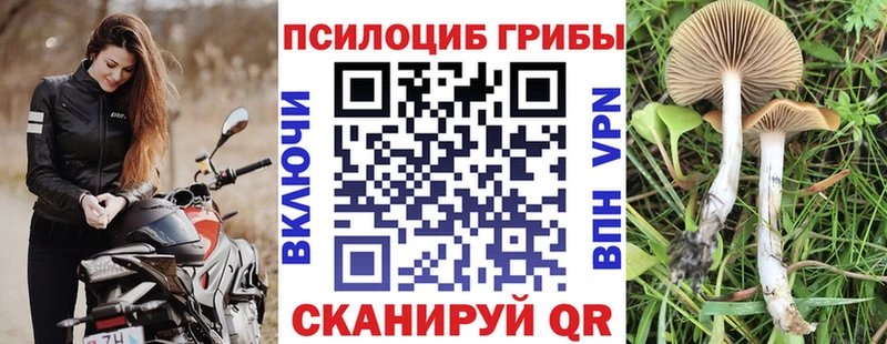Псилоцибиновые грибы GOLDEN TEACHER  продажа наркотиков  мега   Нефтегорск 